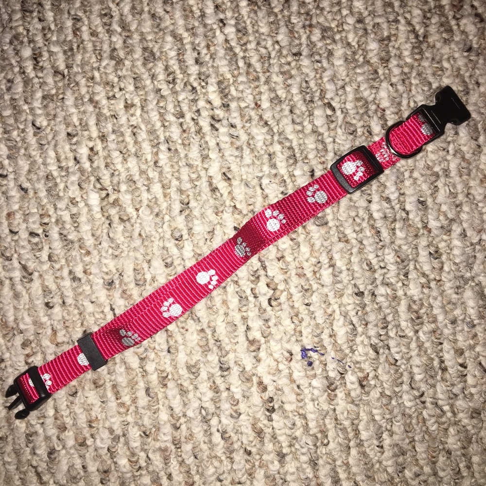 XS/ Puppy dog collars